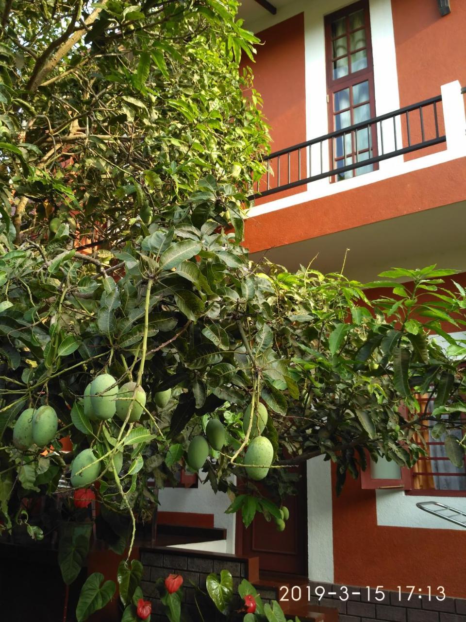 Nilas Guesthouse Hikkaduwa Luaran gambar